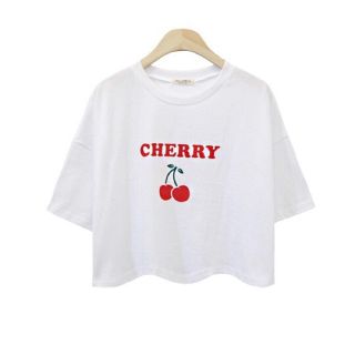 美品✨DOLCE\u0026GABBANA チェリー 半袖Tシャツ S