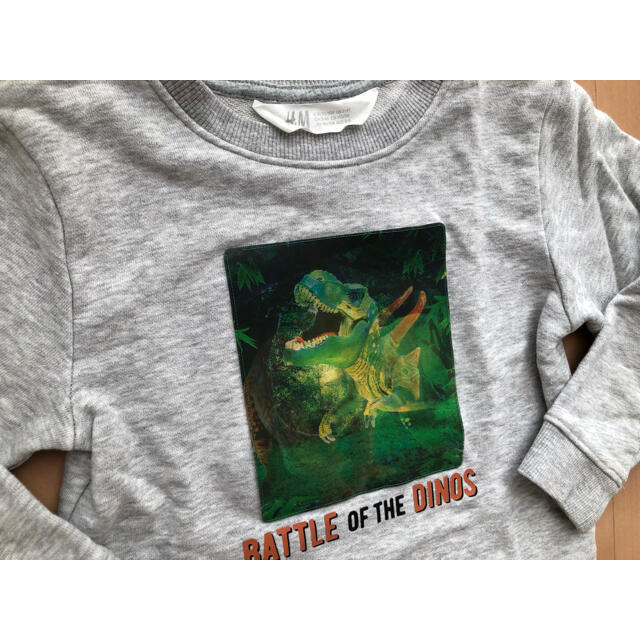 H&M(エイチアンドエム)の恐竜　トレーナー　100センチくらい キッズ/ベビー/マタニティのキッズ服男の子用(90cm~)(Tシャツ/カットソー)の商品写真