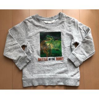 エイチアンドエム(H&M)の恐竜　トレーナー　100センチくらい(Tシャツ/カットソー)