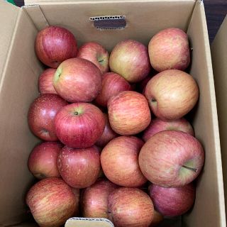 サンふじリンゴ　　バラ詰め　　10kg (フルーツ)