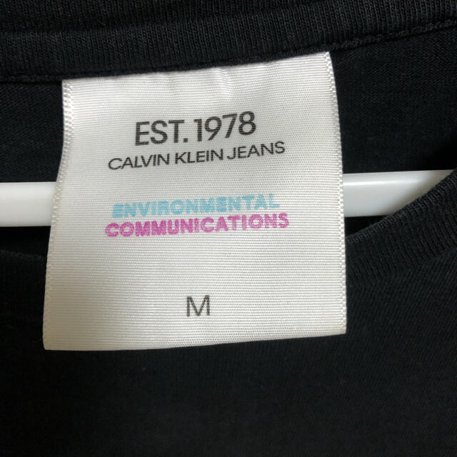 Calvin Klein established ロンT
