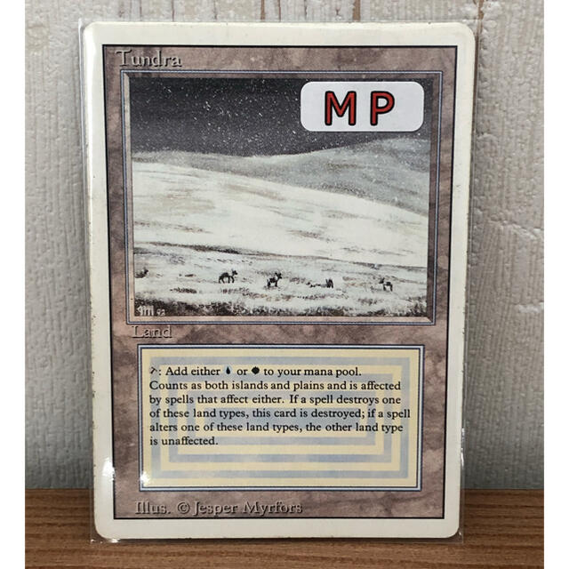 MTG  Tundra英語(MP)マジック