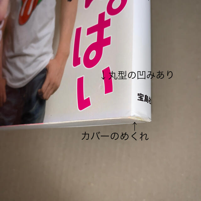 宝島社(タカラジマシャ)のみんなのちんぱい みうらじゅん『宝島』ほぼ全仕事　単行本 エンタメ/ホビーの本(アート/エンタメ)の商品写真