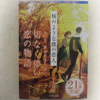 桜のような僕の恋人(文学/小説)