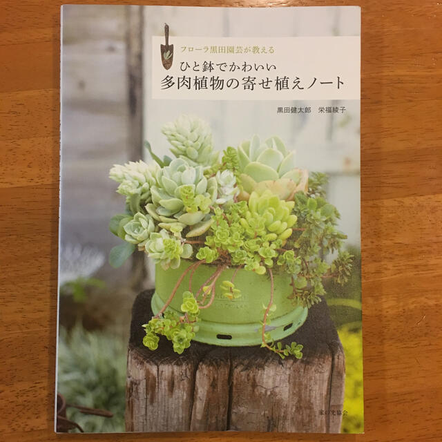 多肉植物の寄せ植えノート エンタメ/ホビーの本(趣味/スポーツ/実用)の商品写真