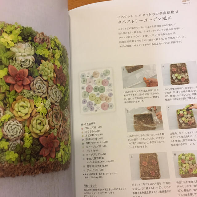 多肉植物の寄せ植えノート エンタメ/ホビーの本(趣味/スポーツ/実用)の商品写真