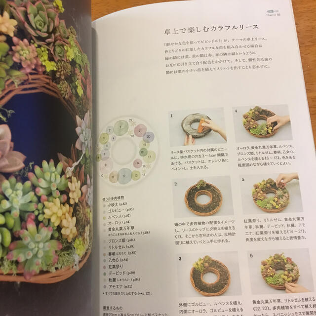 多肉植物の寄せ植えノート エンタメ/ホビーの本(趣味/スポーツ/実用)の商品写真