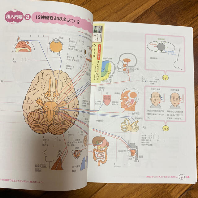 脳神経外科ナ－ス１年生自分でつくれるはじめての看護ノ－ト 重要ポイントを書き込む エンタメ/ホビーの本(健康/医学)の商品写真