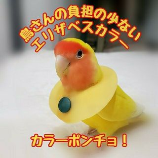 インコ エリザベスカラー(ポンチョタイプ)1枚・3サイズ・3色・3g(鳥)