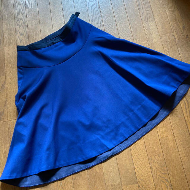DENDROBIUM(デンドロビウム)のデンドロビウム　フレアスカート レディースのスカート(ひざ丈スカート)の商品写真