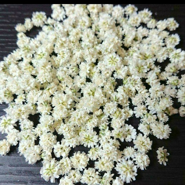 【無選別】かすみ草ドライフラワー白300粒 ハンドメイドのフラワー/ガーデン(ドライフラワー)の商品写真