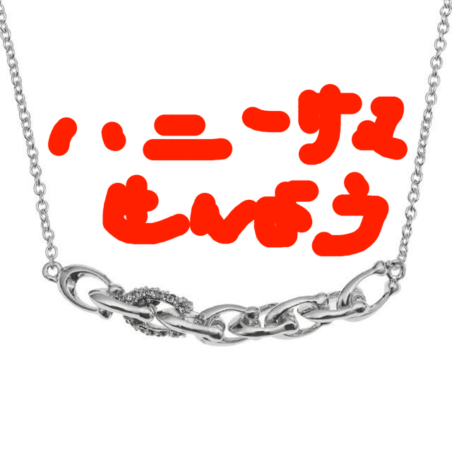 COACH ネックレスSignature Chain Necklace