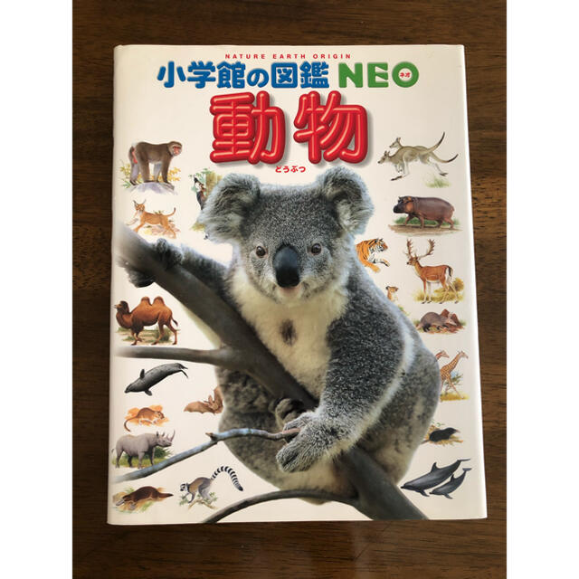 小学館(ショウガクカン)の小学館図鑑neo動物 エンタメ/ホビーの本(絵本/児童書)の商品写真