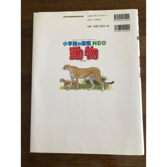 小学館(ショウガクカン)の小学館図鑑neo動物 エンタメ/ホビーの本(絵本/児童書)の商品写真