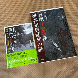 ５２４人の命乞い 日航１２３便乗客乗員怪死の謎(ノンフィクション/教養)