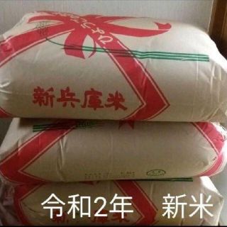 令和2年度　兵庫県産　キヌヒカリ10kg　減農薬　(米/穀物)