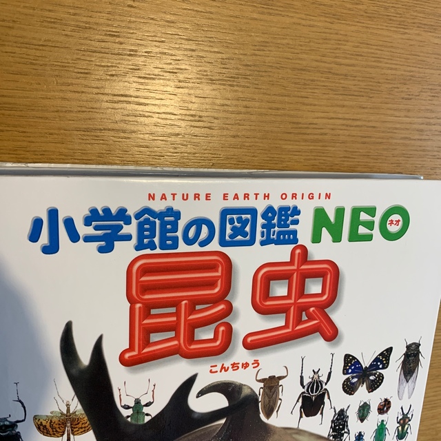 小学館図鑑セット　7冊 4