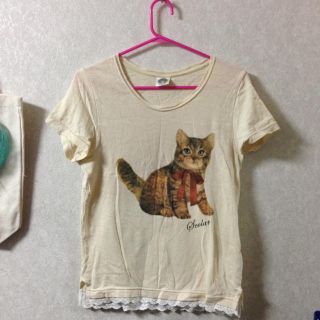 スカラー(ScoLar)の猫 Tシャツ(Tシャツ(半袖/袖なし))