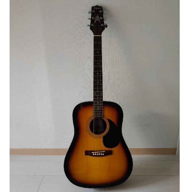 takamine　T-1BS　ギター