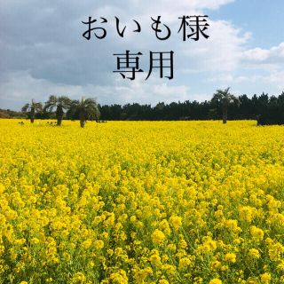 ストロベリーフィールズ(STRAWBERRY-FIELDS)のおいも様　専用(ロングスカート)