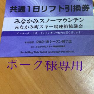 ★ポーク様専用★みなかみ共通1日券3枚(スキー場)