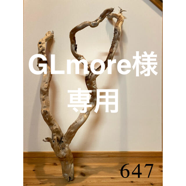 新春SALE❣️特大　流木【647.576.474】