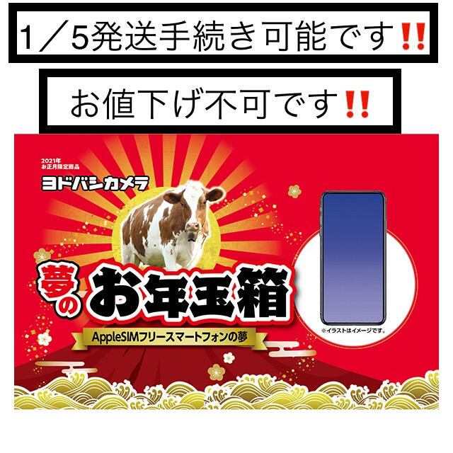 半額SALE☆ Apple GB 256 Max Xs 新品 未開封 ヨドバシカメラ福袋 半額SALE☆ Apple GB 256 Max Xs 新品 未開封 ヨドバシカメラ福袋