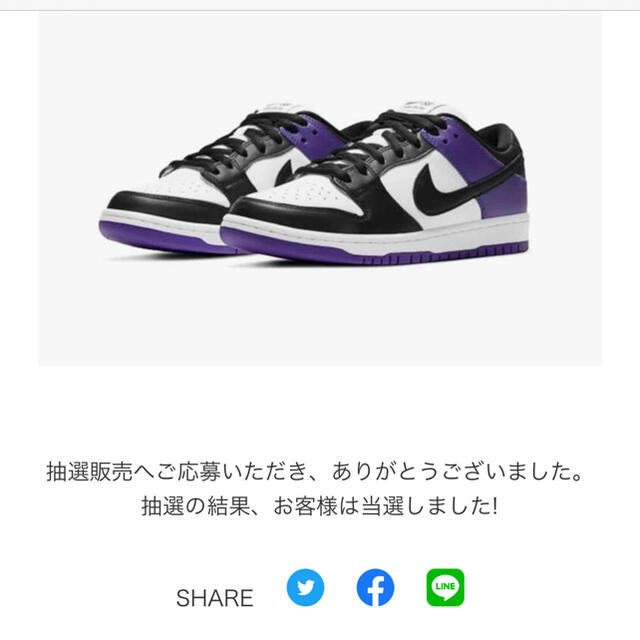 NIKE SB DUNK LOW PRO "COURT PURPLE"28cm