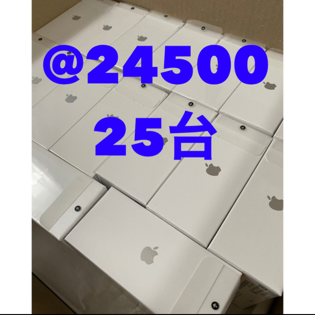 Apple AirPods Pro   MWP22J/A 25台セットオーディオ機器