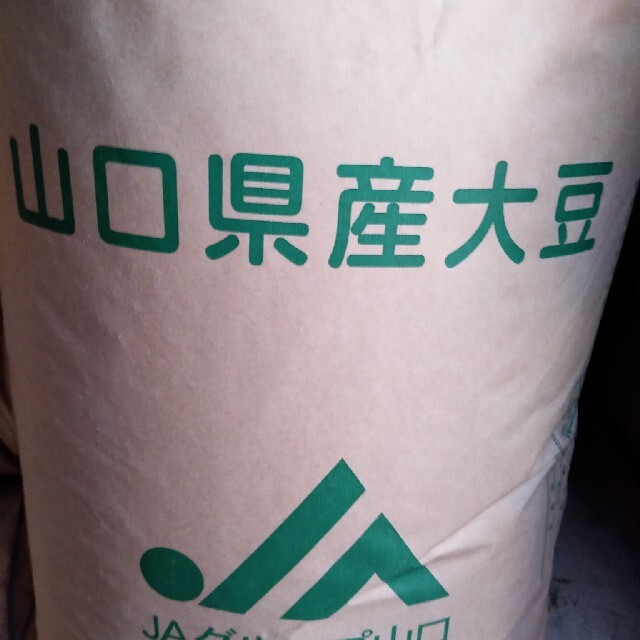 なんと500円で国産大豆 約1キロ送料無料！ 食品/飲料/酒の食品(米/穀物)の商品写真