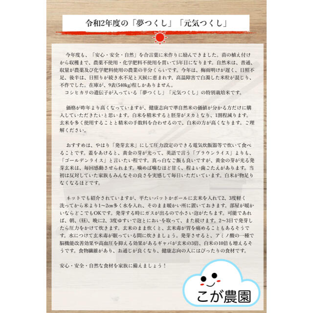 特別栽培米 福岡県産米『夢つくし』 20kg 【玄米専用】令和2年産
