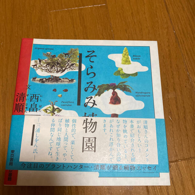そらみみ植物園の通販 By Akiko0926 S Shop ラクマ そらみみ植物園の通販 By Akiko0926 S Shop ラクマ