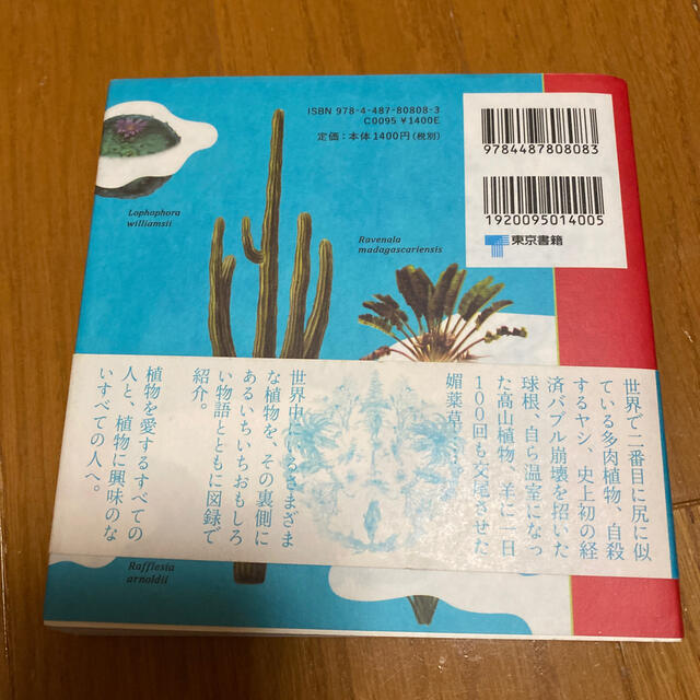 そらみみ植物園の通販 By Akiko0926 S Shop ラクマ そらみみ植物園の通販 By Akiko0926 S Shop ラクマ