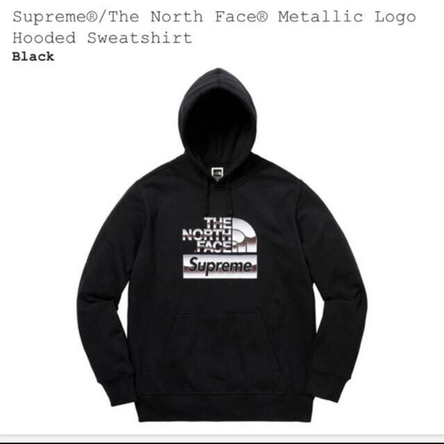 Supreme The North FaceMetallic Logoメンズ