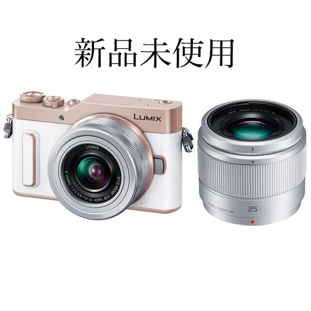 【新品】Panasonic LUMIX DC-GF10W-W ホワイト