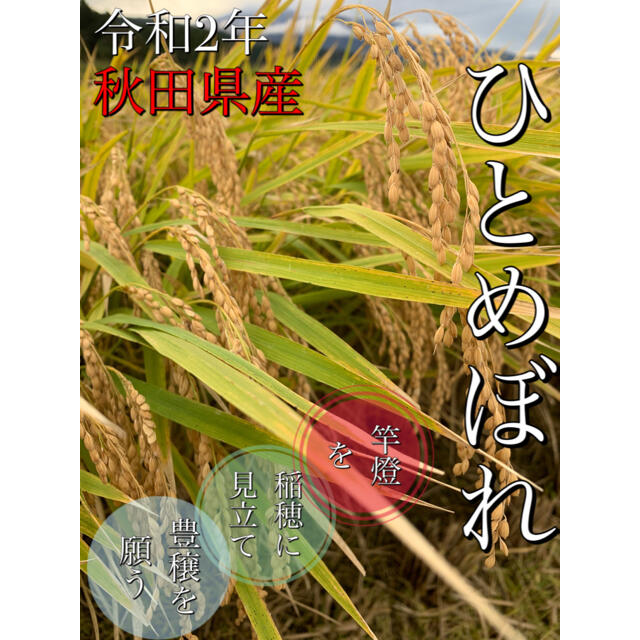 米/穀物令和2年 秋田県産【ひとめぼれ】玄米20kg 減農薬 大粒 美味い☆精米無料！