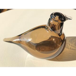 イッタラ(iittala)の専用出品　イッタラ バード Little Tern サンド(置物)