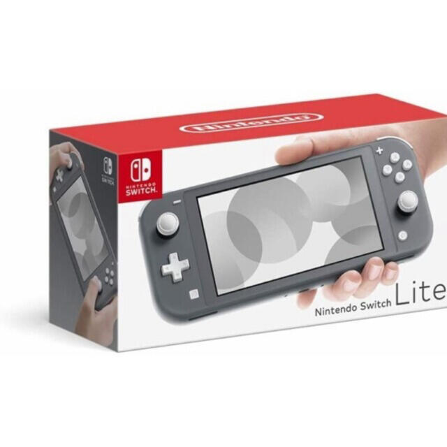 Nintendo Switch Lite グレー 本体一式（欠品なし）です。