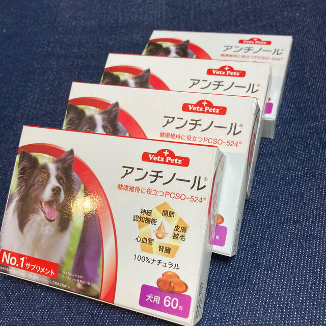 【新品未開封】アンチノール 60粒入り 4箱セット 犬用