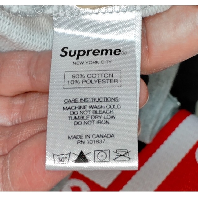 Supreme(シュプリーム)の専用！Supreme × ANTI HERO 14SS Glay M 極上品 メンズのトップス(パーカー)の商品写真