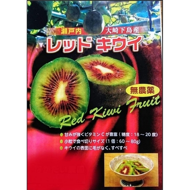 ゆっちー様専用【期間限定値下げ！】無農薬！キウイフルーツ【レッドキウイ】2キロ 食品/飲料/酒の食品(フルーツ)の商品写真