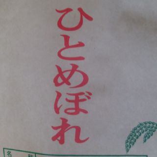 米  令和2年度ひとめぼれ10㎏(米/穀物)