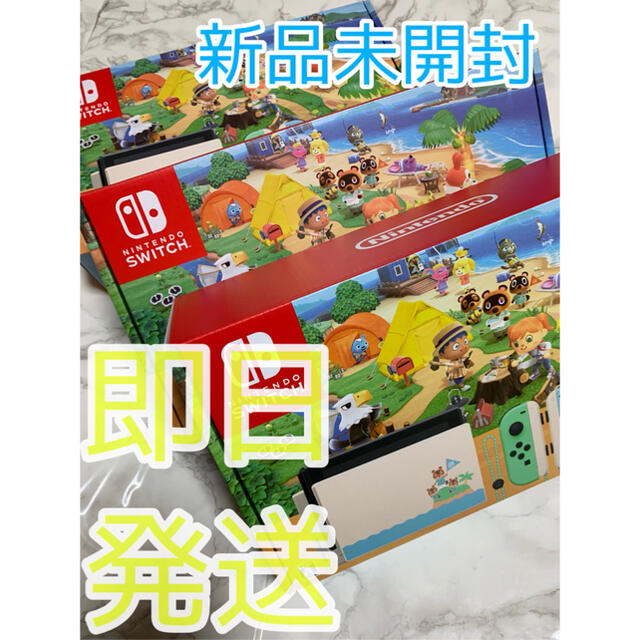 早い者勝ちSwitchどうぶつの森同梱版