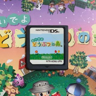 ニンテンドーDS(ニンテンドーDS)のNintendo DS おいでよ どうぶつの森 カセットのみ(その他)