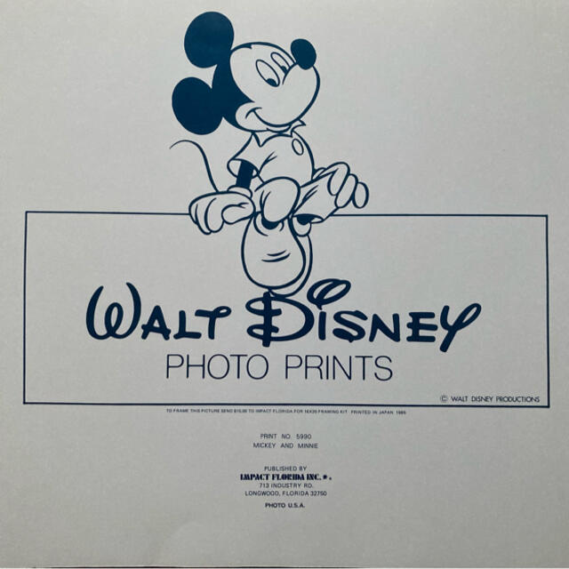 Disney(ディズニー)のディズニーランドinフロリダ フォトプリント レトロ6点セット エンタメ/ホビーのコレクション(その他)の商品写真