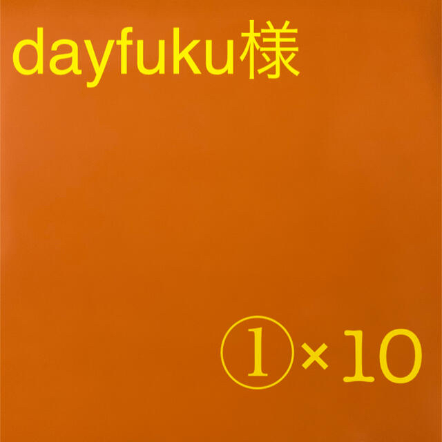 dayfuku様専用 春華堂うなぎパイ お徳用 割れ・企画外品 ② 10袋