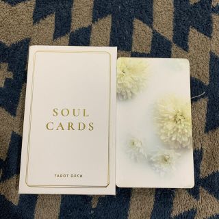 日本未発売　SOUL CARDS (その他)