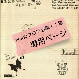 noa☆プロフ必読！！様 専用ページ(その他)