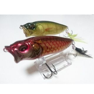 メガバス(Megabass)のメガバス POP-MAX カープ(鯉)color(ルアー用品)