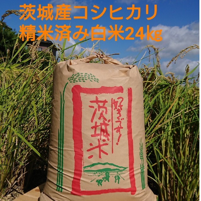 4020円引き　茨城令和2年産コシヒカリ精米済み白米24㎏　想像を超えての